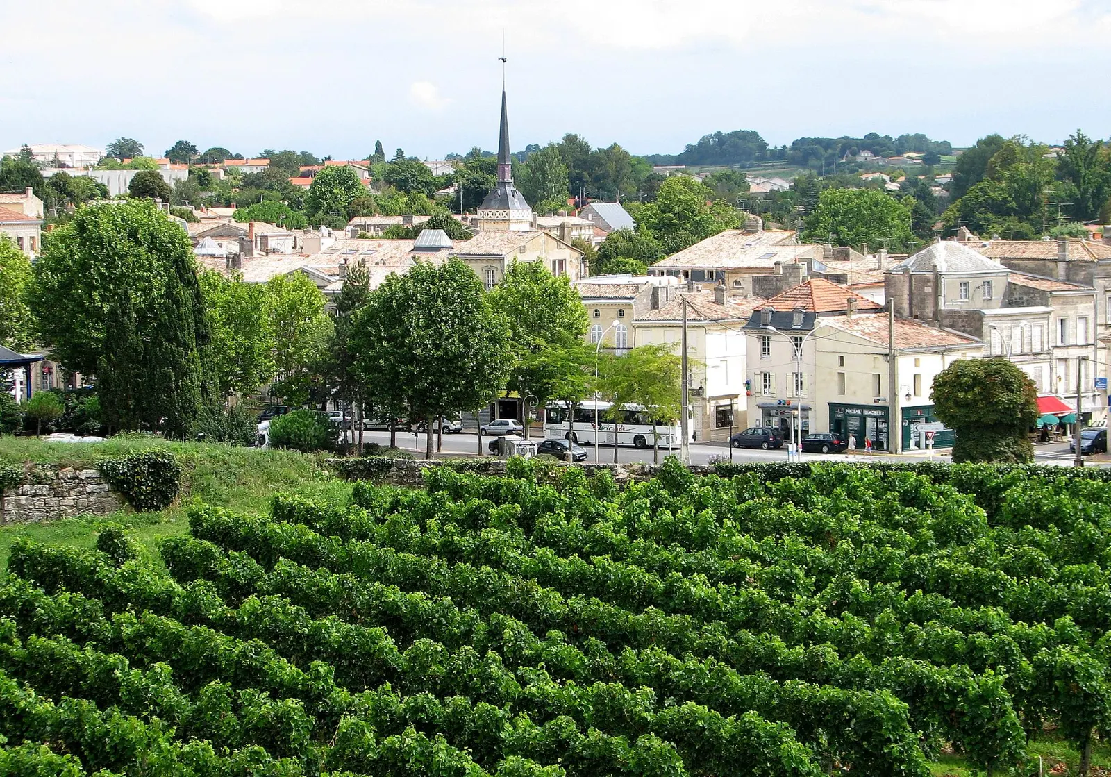 Green vineyard rows below the town of Blaye, seen from the Citadelle, with a church spire behind
