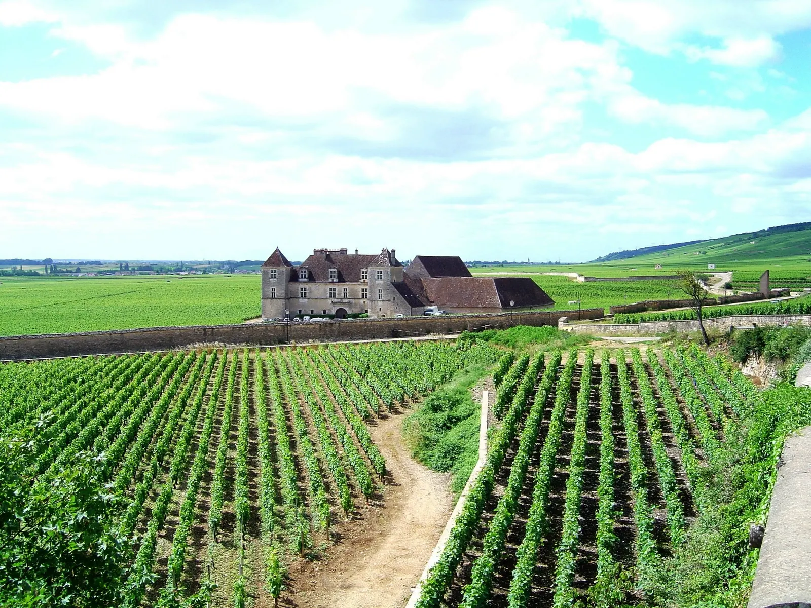 Château du Clos de Vougeot behind its stone wall, with vine rows in the foreground in Burgundy