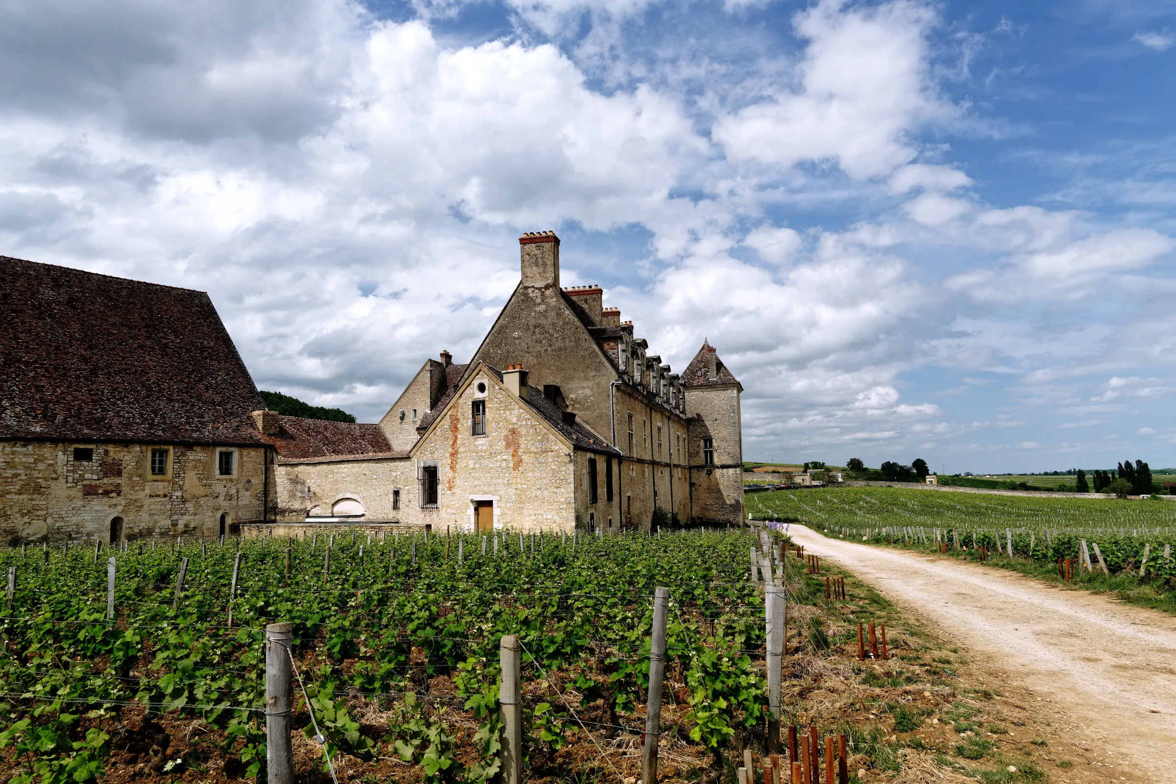 Château de Vougeot stone buildings beside rows of green vines and a gravel path under a cloudy blue sky