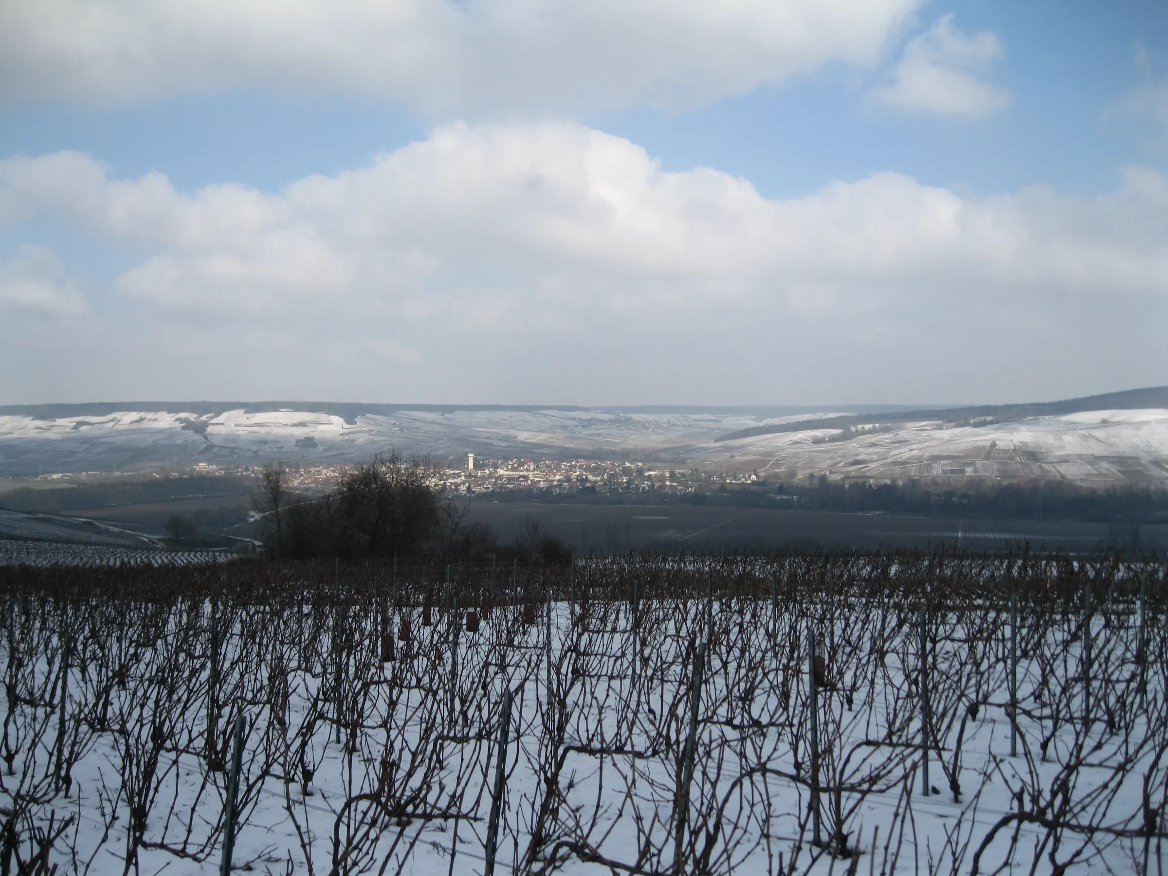 Snow-covered vine rows overlooking Damery and the Marne valley under a cloudy sky with snowy hillsides beyond