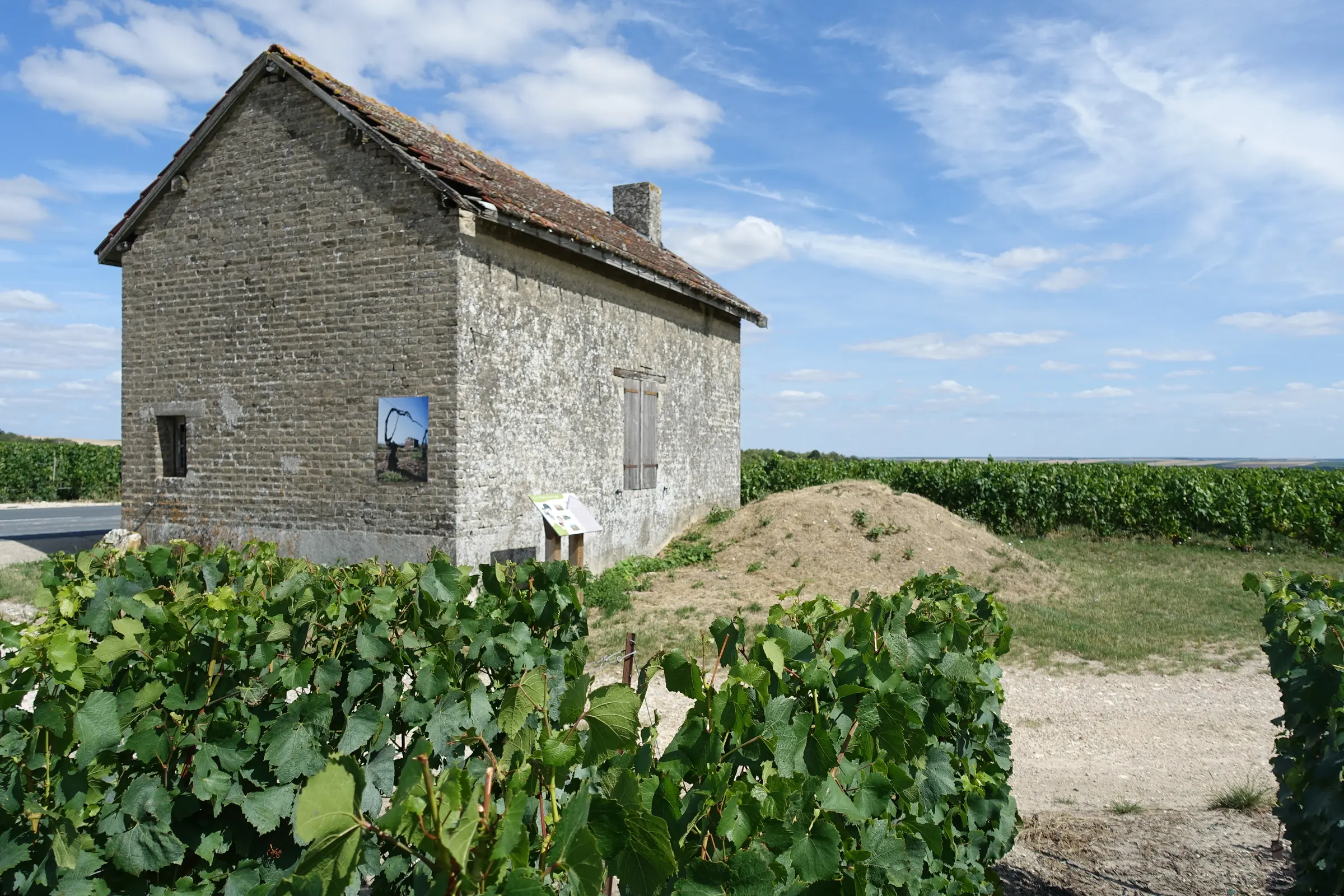 Old stone vineyard hut among green vines near Trépail in Champagne under a blue sky with clouds