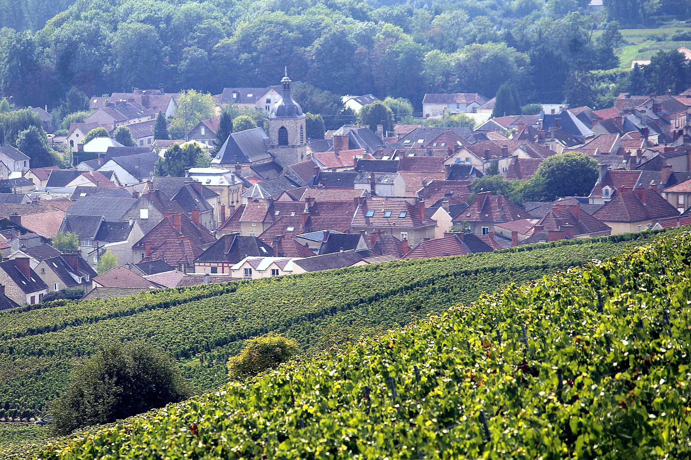 Red-roofed houses and church tower of Hautvillers above sunlit vine rows on a hillside