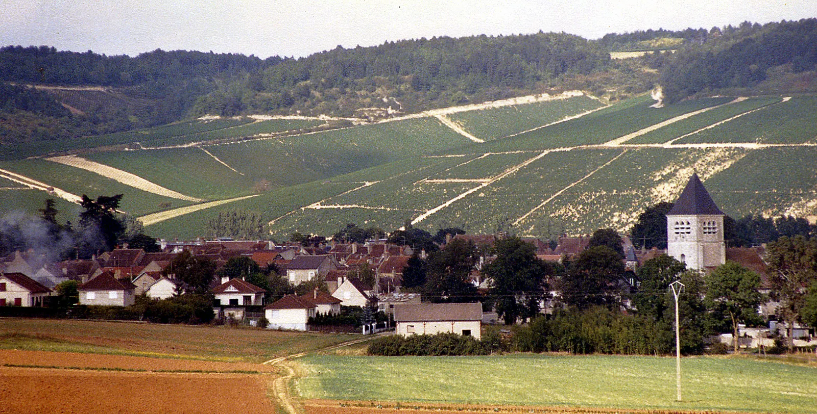 Village with a church tower below steep vineyard slopes in the Champagne region, seen in a 1987 photograph