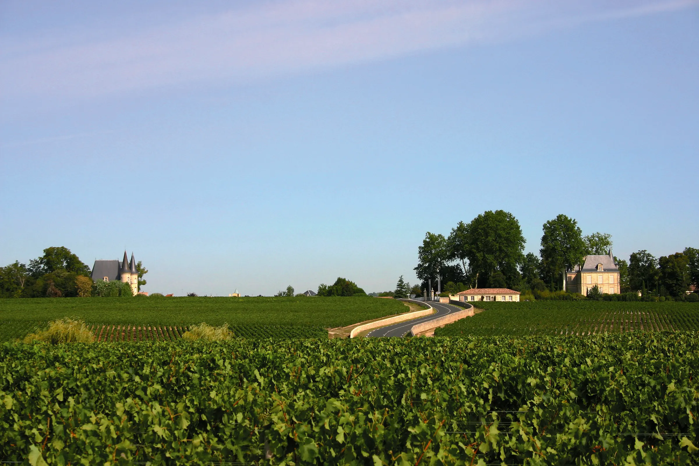 Road curving through green Médoc vineyards toward a château with turrets and a manor house among trees, Pauillac