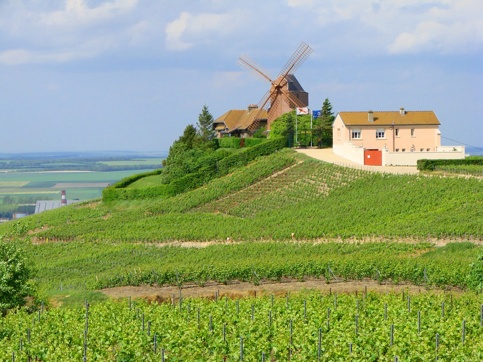 Windmill and house above terraced vineyards at Verzenay on the Montagne de Reims