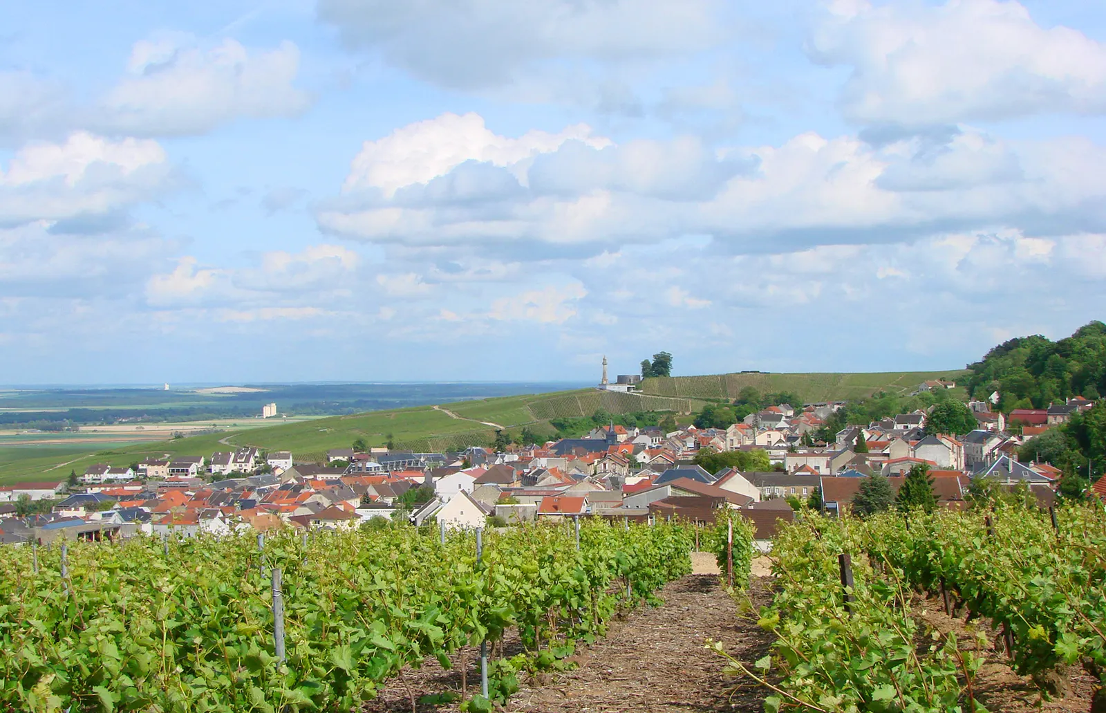 Rows of vines leading to the village of Verzenay with red roofs and the Montagne de Reims beyond