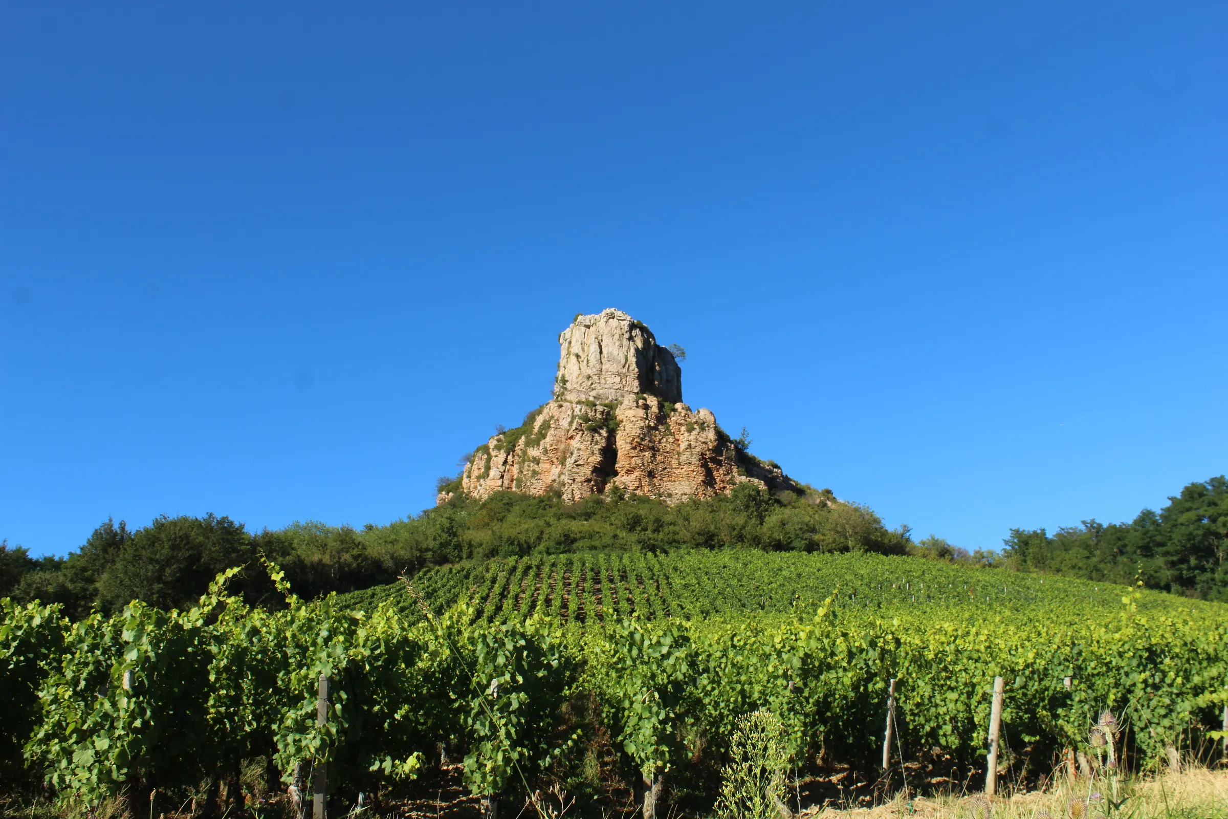 Roche de Solutré rock outcrop rising above green vine rows under a clear blue sky