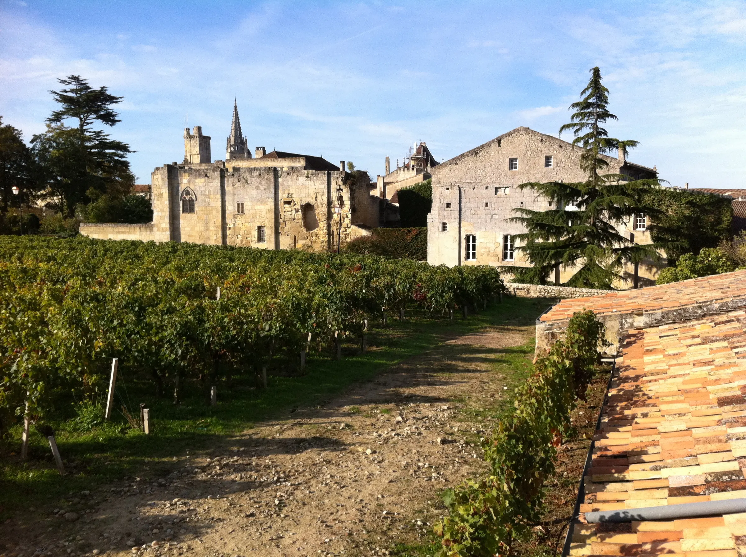 Autumn vineyard beside old stone buildings and a church spire in Saint-Émilion, with terracotta roof tiles in the foreground