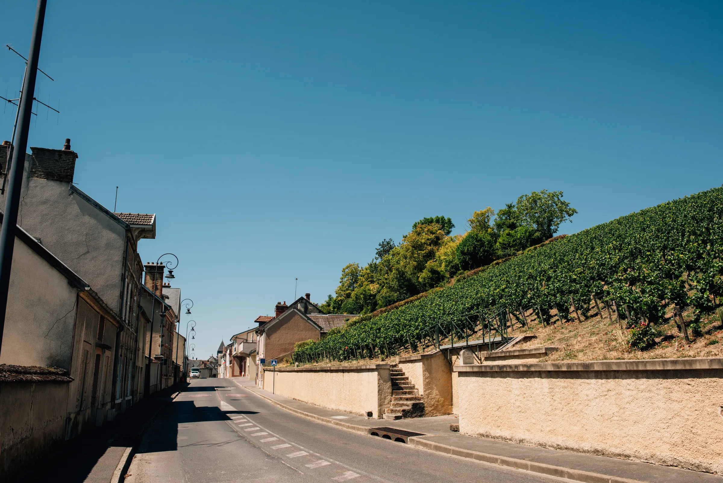 Quiet street in Épernay running beside a steep vineyard slope under a clear blue sky