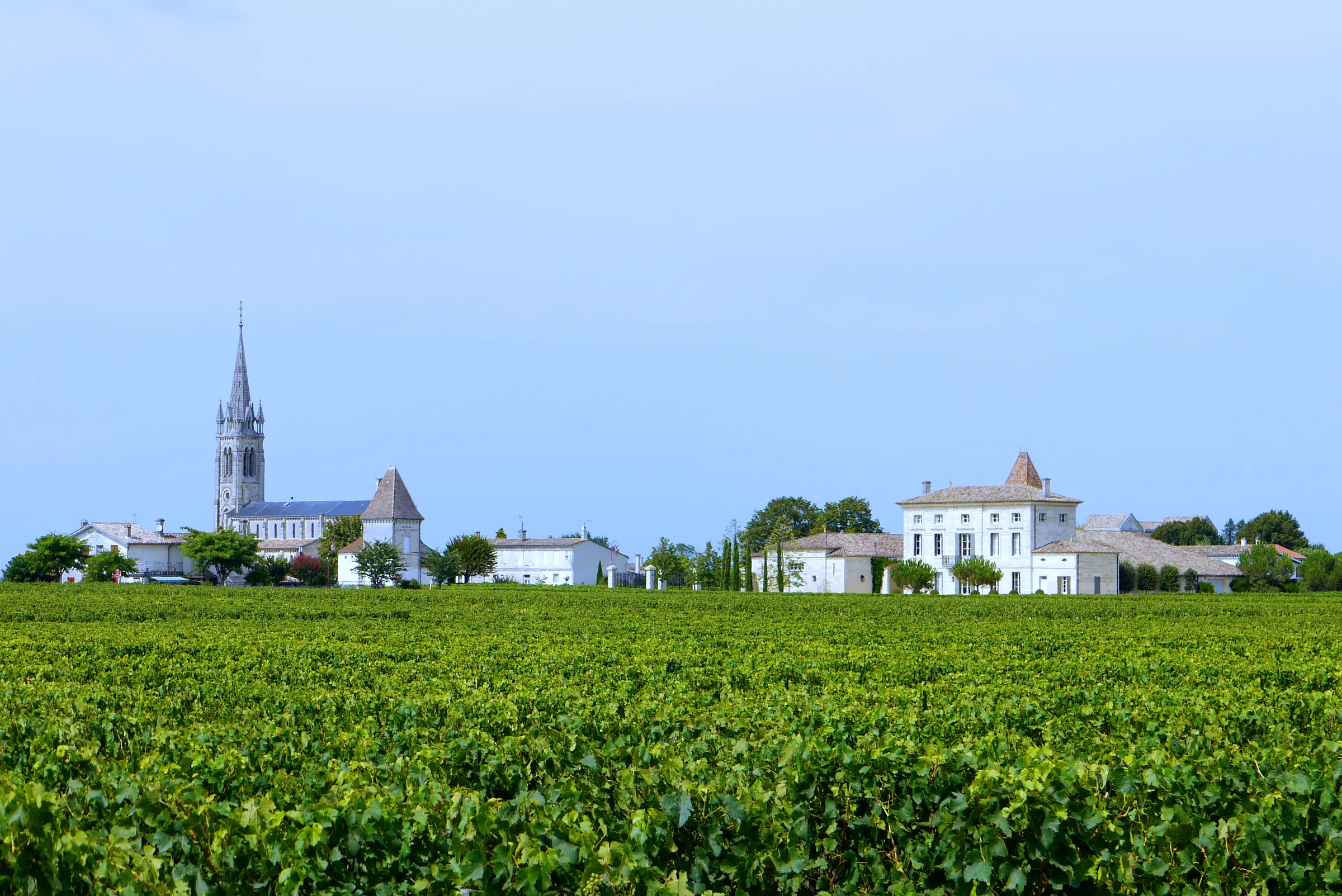 Pomerol church spire and white château buildings rising behind a green vineyard under a clear blue sky