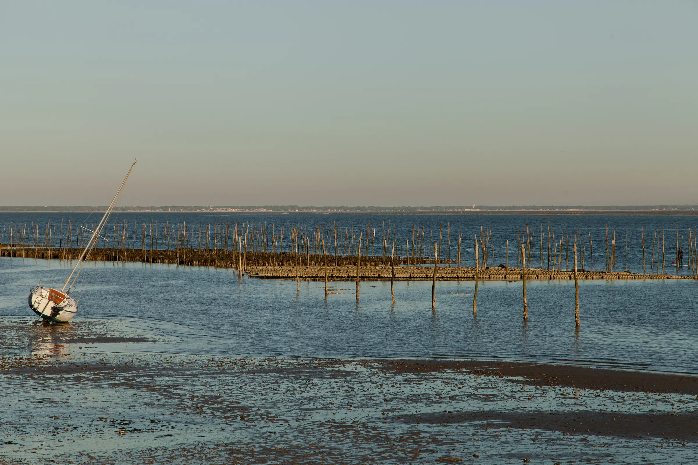 Oyster farm stakes and a tilted sailboat on the low-tide flats of Arcachon Bay in soft evening light