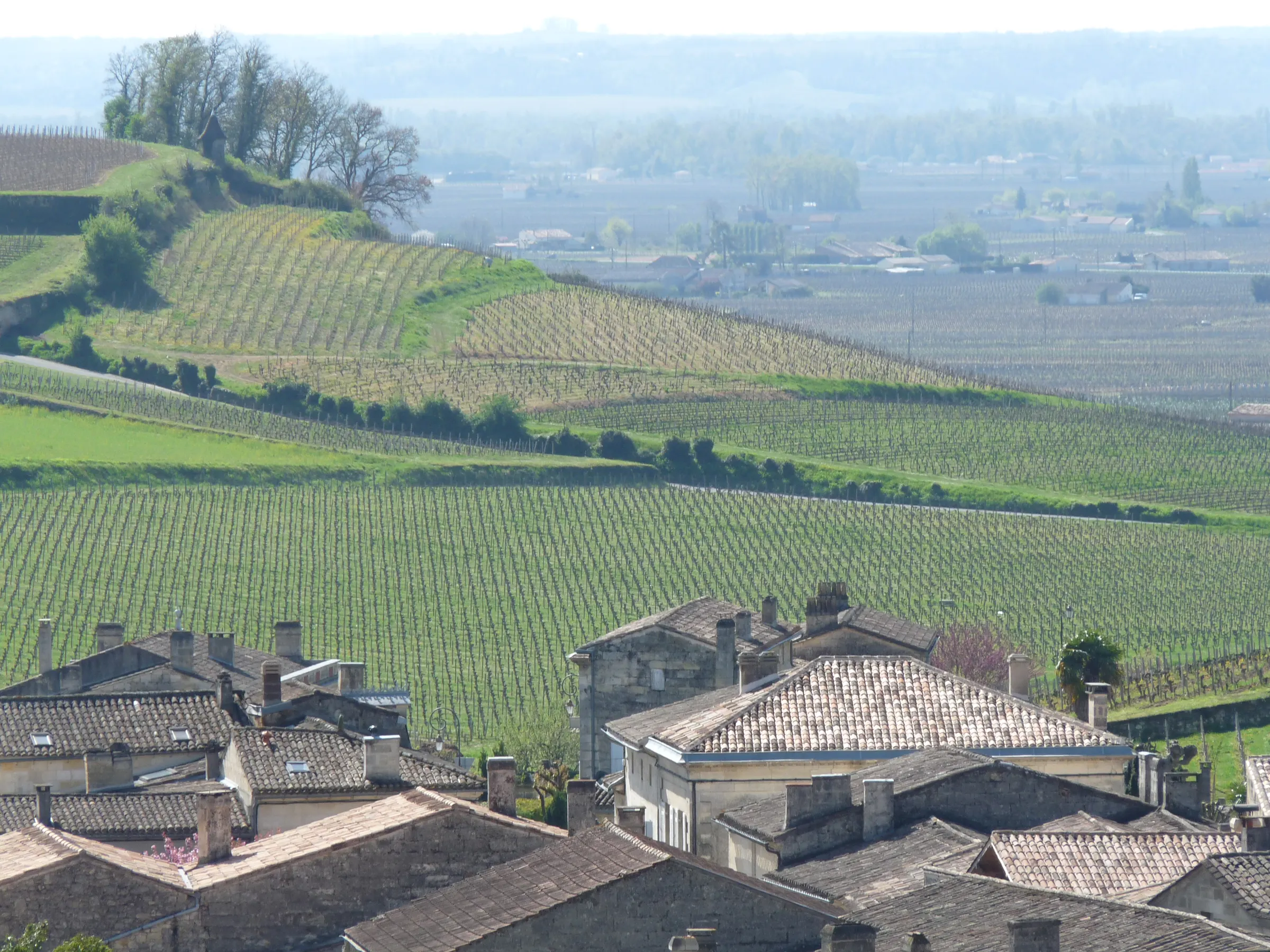 Green vineyard slopes rolling away behind old stone rooftops in Saint-Émilion, with a hazy plain in the distance