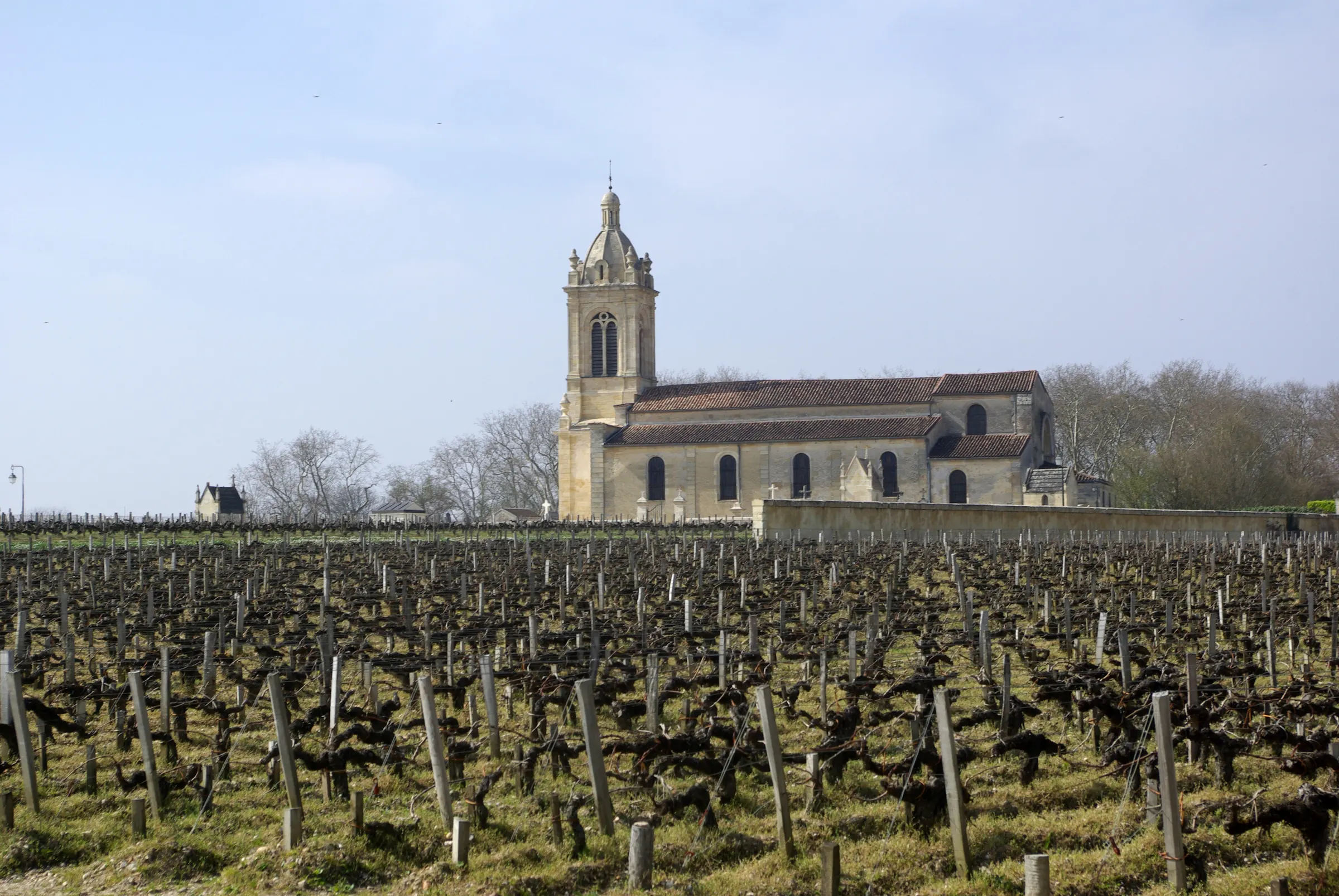 Stone church of Saint Michael rising behind rows of bare pruned vines at Château Margaux in Margaux, Gironde