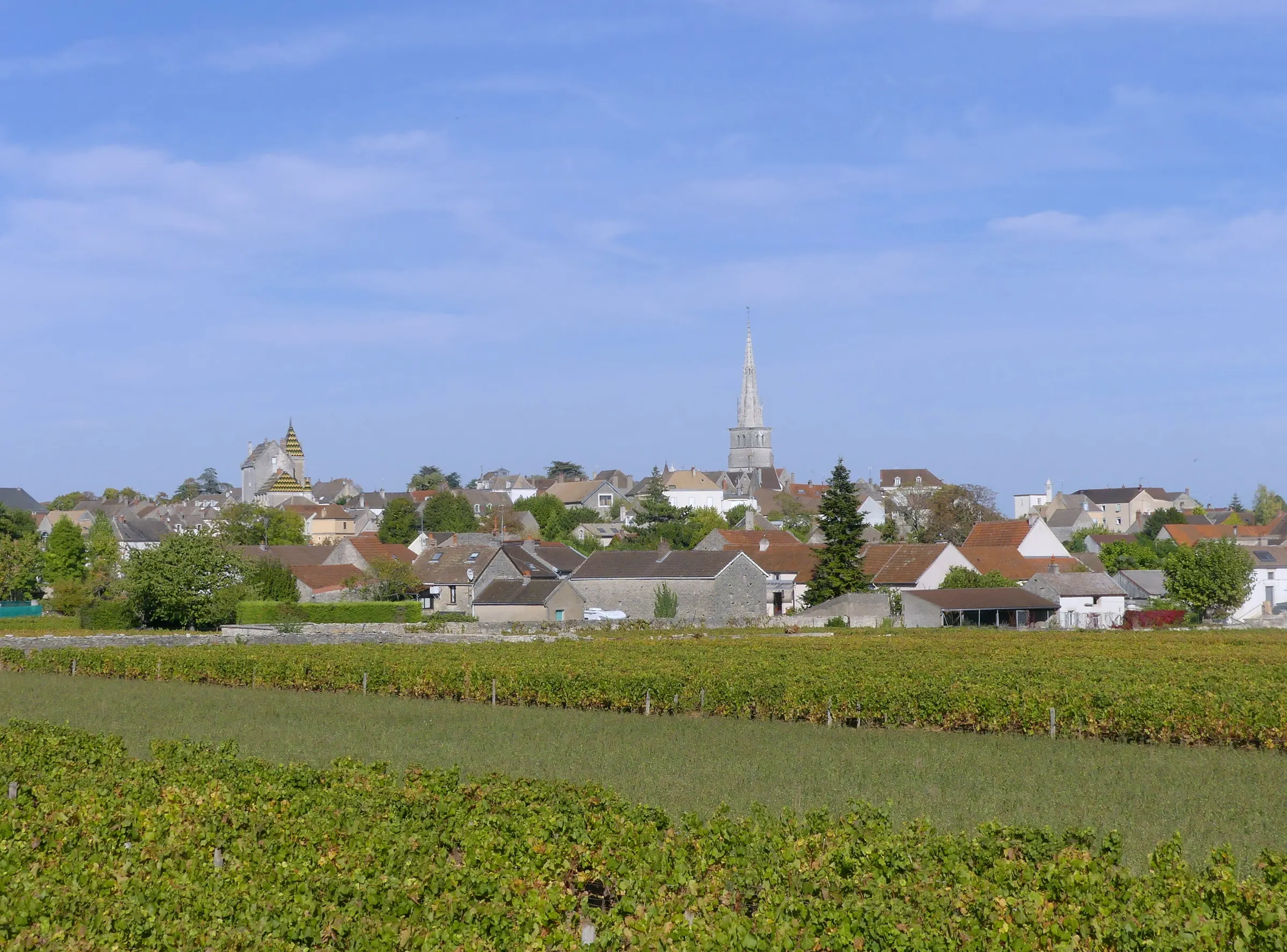 Meursault village rooftops and church spire rising behind autumn vineyards under a pale blue sky